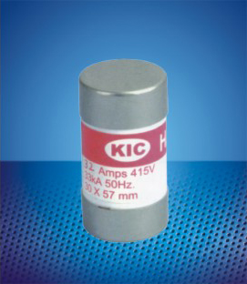 Cylindrical fuse links D0047