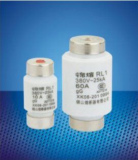 Screw type fuse links D0001 