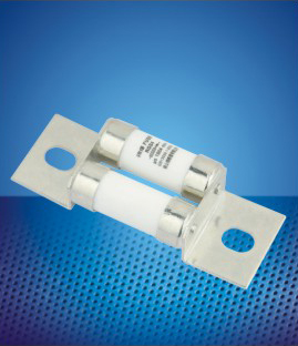 Bolt connected fuse links D0229